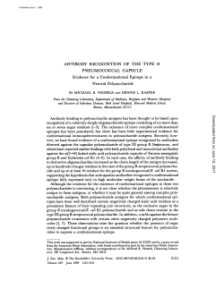 ANTIBODY RECOGNITION OF THE TYPE 14