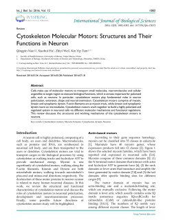 Cytoskeleton Molecular Motors: Structures and Their Functions in