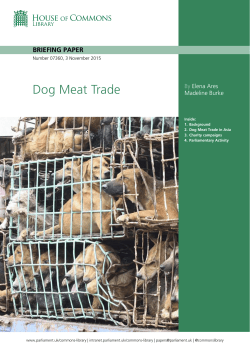Dog Meat Trade - Parliament UK