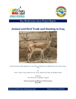 Animal and Bird Trade and Hunting in Iraq
