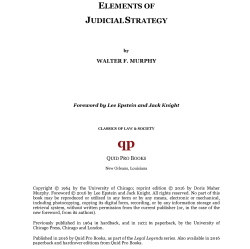 ELEMENTS OF JUDICIAL STRATEGY