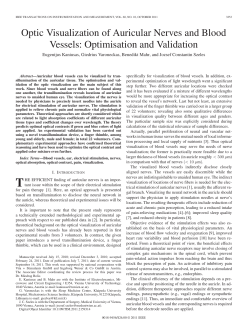 Optic Visualization of Auricular Nerves and Blood Vessels