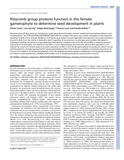 Polycomb group proteins function in the female