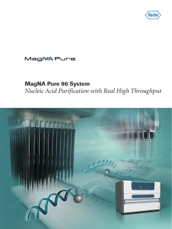 Nucleic Acid Purification with Real High Throughput