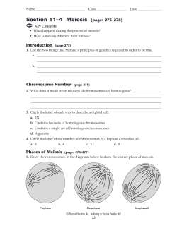 Unit 5 Review Worksheet