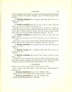 SOUTH MEXICO, between Chalco and Mexico, at 7000 feet