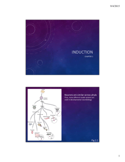 INDUCTION