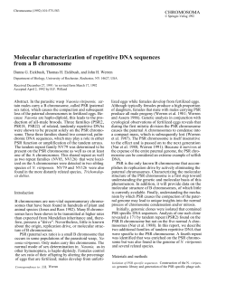 Molecular characterization of repetitive DNA sequences from a B