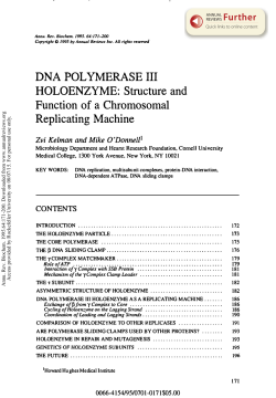 DNA Polymerase III Holoenzyme: Structure and Function of a