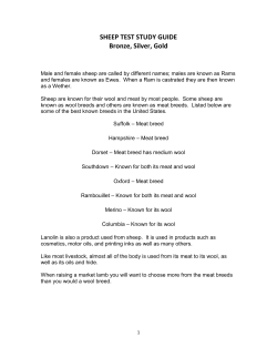 SHEEP TEST STUDY GUIDE Bronze, Silver, Gold