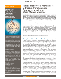 In Situ Root System Architecture ExtracƟon from MagneƟc