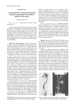 A rapid method for somatic embryogenesis and plant regeneration