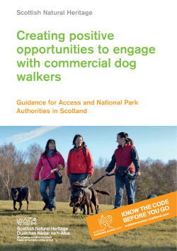 Creating positive opportunities to engage with commercial dog