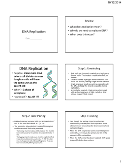 DNA Replication and Transcription