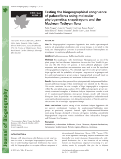 Testing the biogeographical congruence of palaeofloras using