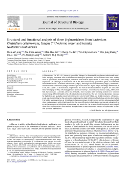 Structural and functional analysis of three ОІ