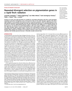 Print - Science Advances