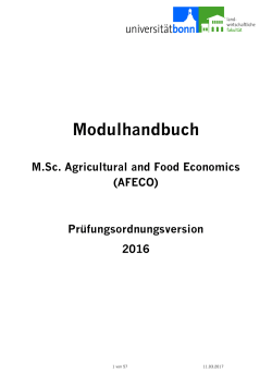 Modulhandbuch