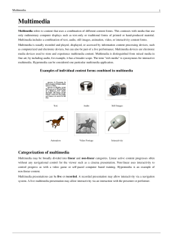 Multimedia - Honors 290