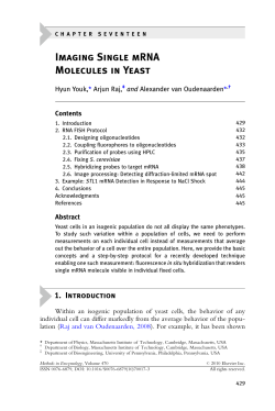 Imaging Single mRNA Molecules in Yeast