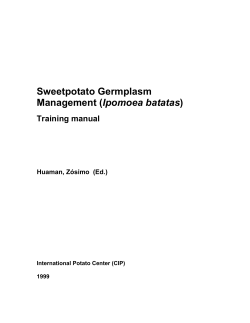 Sweetpotato Germplasm Management (Ipomoea batatas) Training