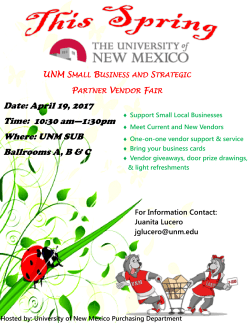 UNM SMALL BUSINESS AND STRATEGIC
