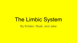 The Limbic System