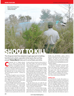 17.11 News Feat Weeds MH