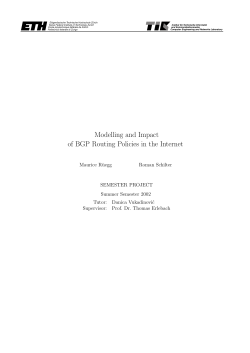 Modelling and Impact of BGP Routing Policies in the Internet