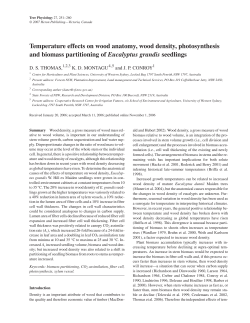 Temperature effects on wood anatomy, wood density