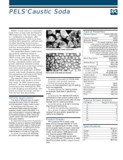 PELS® Caustic Soda