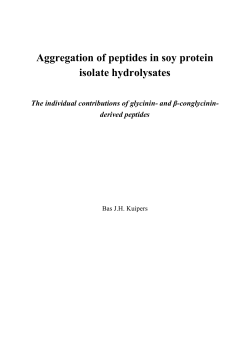Aggregation of peptides in soy protein isolate hydrolysates : the