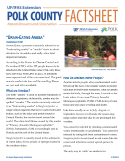 Brain-Eating Ameba - UF/IFAS Extension Polk County