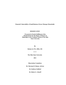 Financial Vulnerability of Small Business Owner