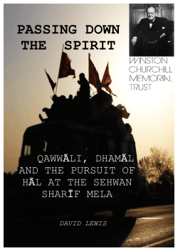 Lewis D Report 2013 - Winston Churchill Memorial Trust