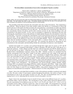 15 The intracellular concentration of urea in the rectal gland of