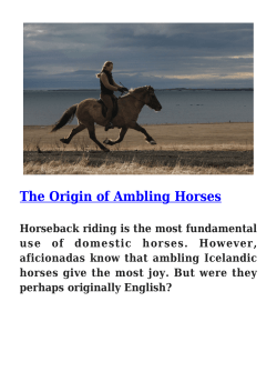 The Origin of Ambling Horses