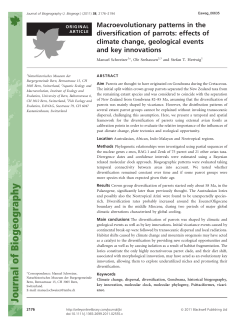 Macroevolutionary patterns in the diversification of parrots