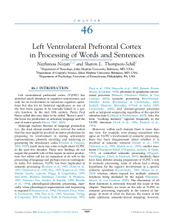 Left Ventrolateral Prefrontal Cortex in Processing of Words and