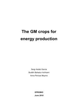 The GM crops for energy production