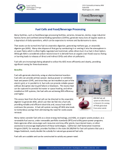 Fuel Cells and Food/Beverage Processing