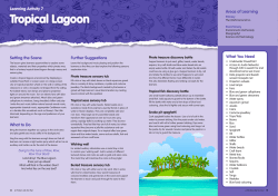 Tropical Lagoon