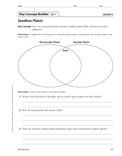 Seedless Plants