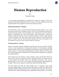 Human Reproduction