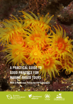 a practical guide to good practice for marine