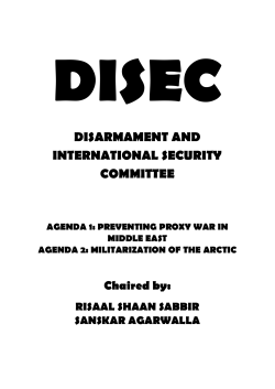 disec - Maria`s Model United Nations(MMUN)