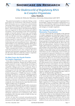 The Underworld of Regulatory RNA in Complex Organisms