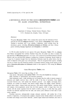 57 A REVISIONAL STUDY ON THE GENUS MICROPISTUS THtiRY