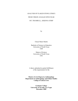 ANALYSIS OF FLAKED STONE LITHICS FROM VIRGIN ANASAZI