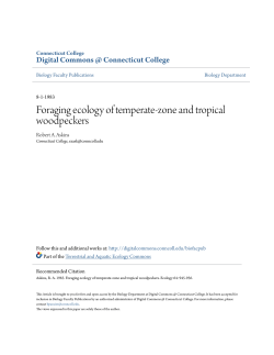 Foraging ecology of temperate-zone and tropical woodpeckers